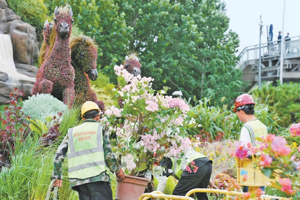 东单路口立体花坛正在进行要素调整和植物更换。