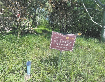 土壤墒情仪。