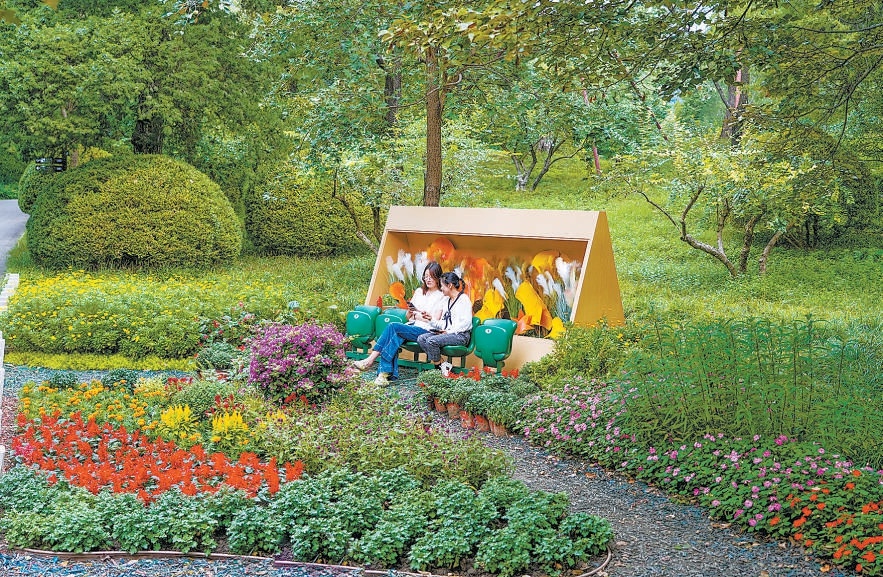 香山公园“金风信笺”花境。 香山公园“金风信笺”花境。