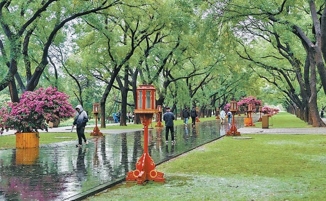 雨中的天坛公园。