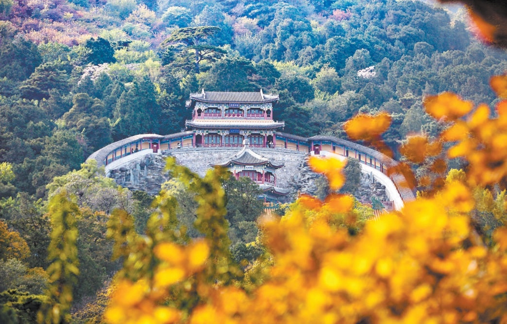 目前,香山彩叶变色率已到60%,层层叠叠,色彩斑斓。 目前,香山彩叶变色率已到60%,层层叠叠,色彩斑斓。