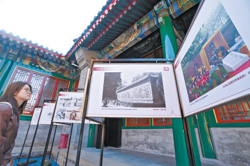 四大点位串联玉渊潭最美秋光