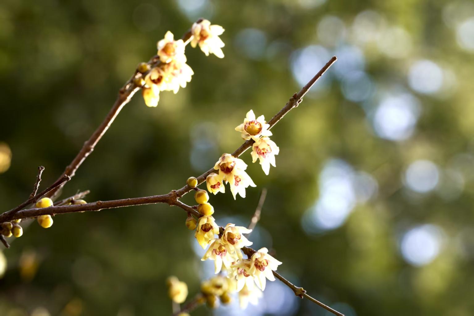 34b77a8009e4ae166acc5fe32cdbd35b7b170d3b 34b77a8009e4ae166acc5fe32cdbd35b7b170d3b