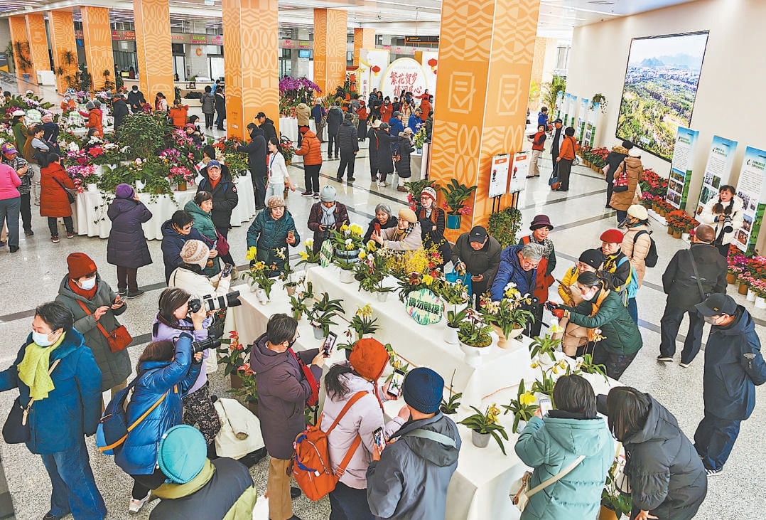 北京市政务服务中心举办的兰花展，吸引大批市民前来赏花打卡。