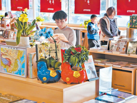 读者在书店选购图书,欣赏年宵花。 读者在书店选购图书,欣赏年宵花。