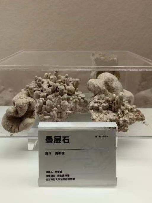 北京高校陆续开学 一批高校博物馆和展览换新重张 北京高校陆续开学 一批高校博物馆和展览换新重张