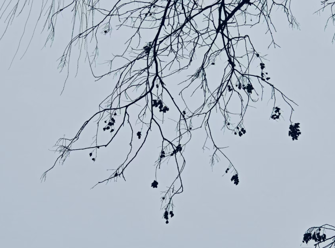 京城今起四天多雨雪！出门带伞 及时加衣保暖