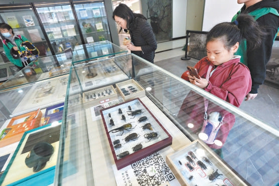 小观众记录中国农业大学昆虫博物馆展品。