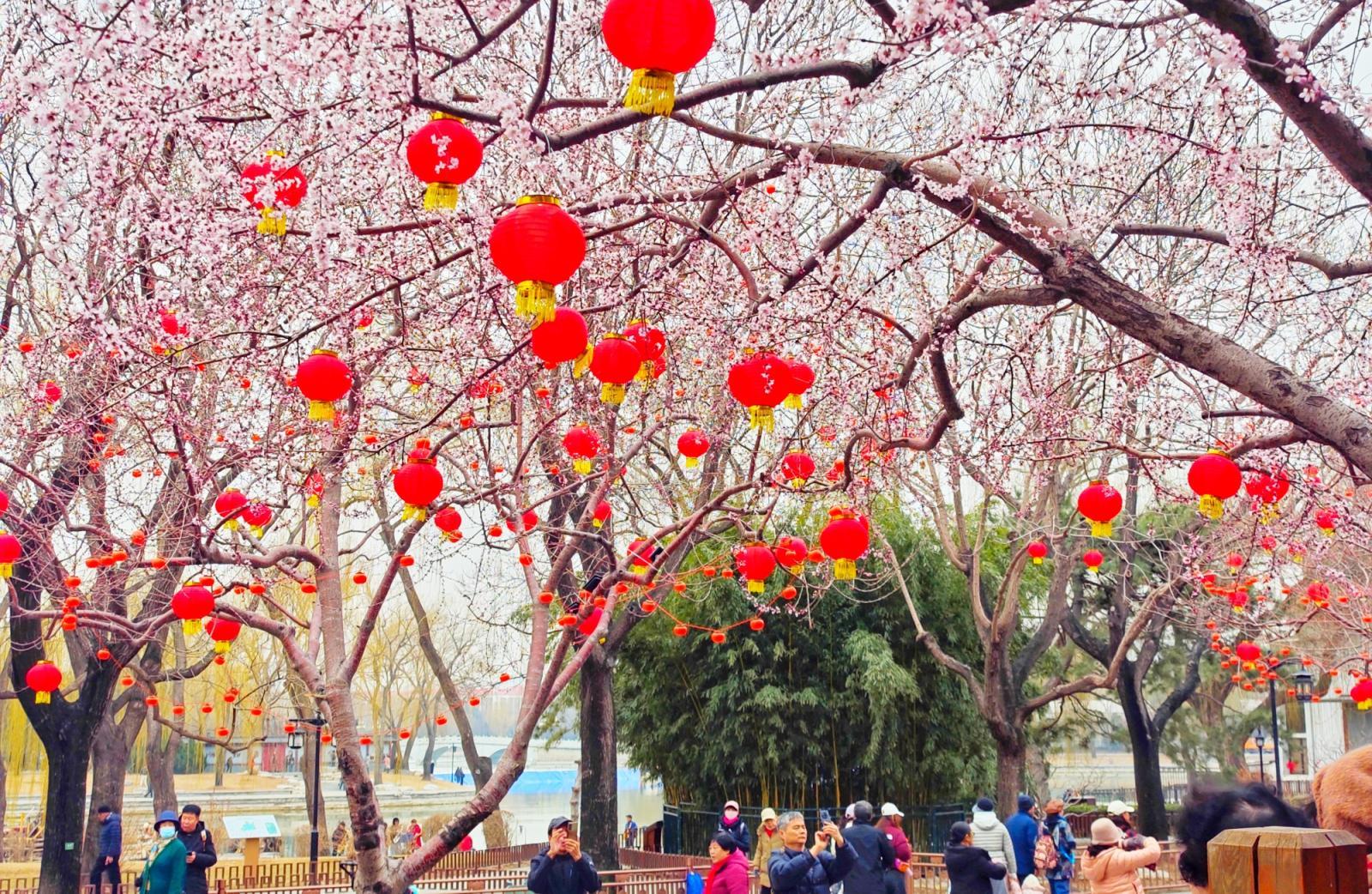 陶然亭年味未散春意更浓