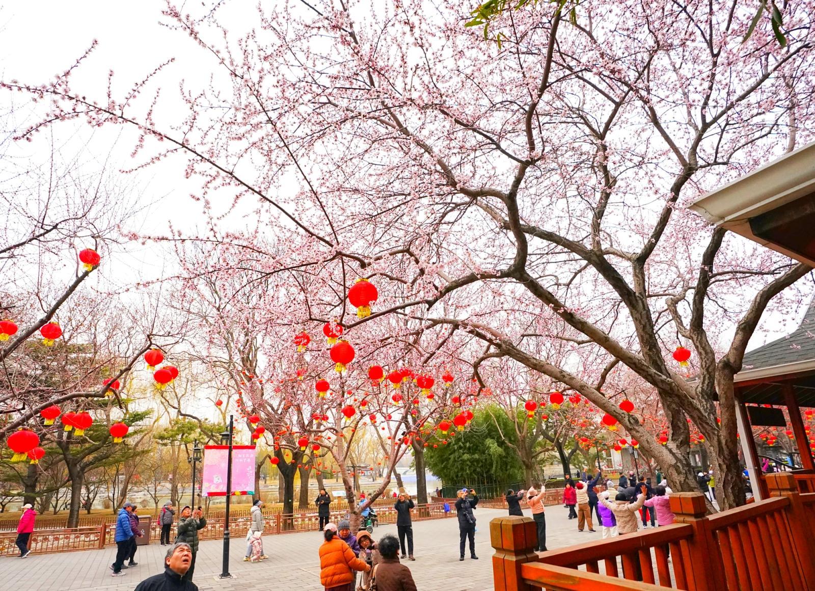 陶然亭年味未散春意更浓