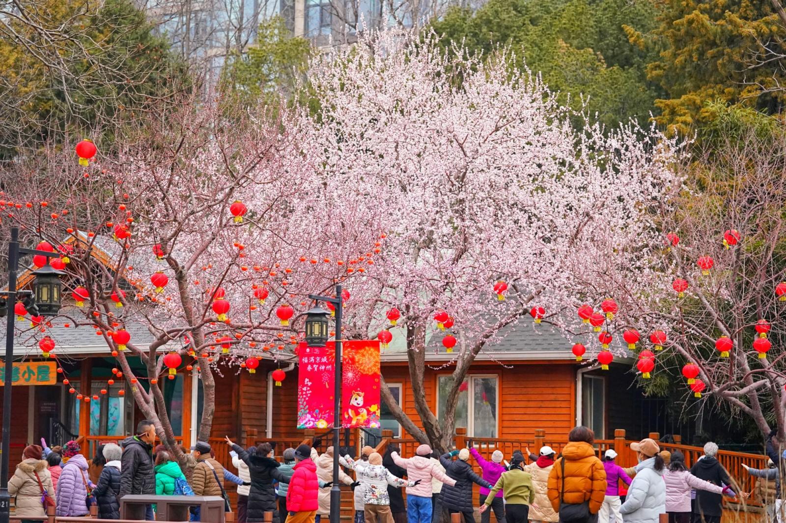 陶然亭年味未散春意更浓