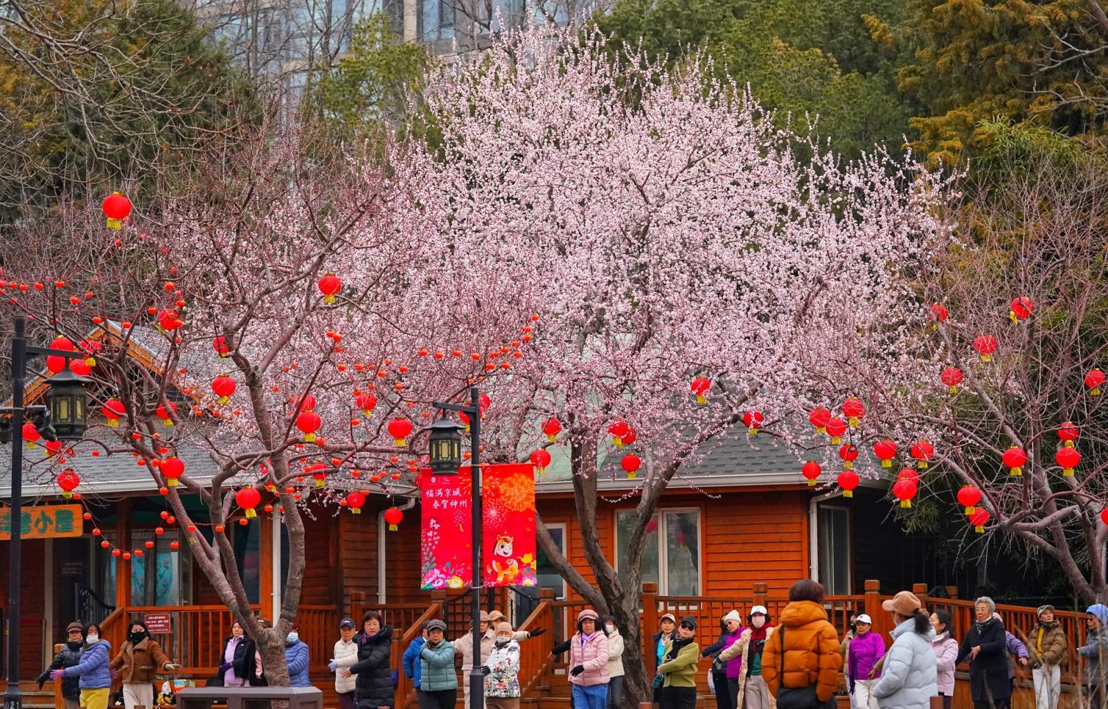 陶然亭年味未散春意更浓