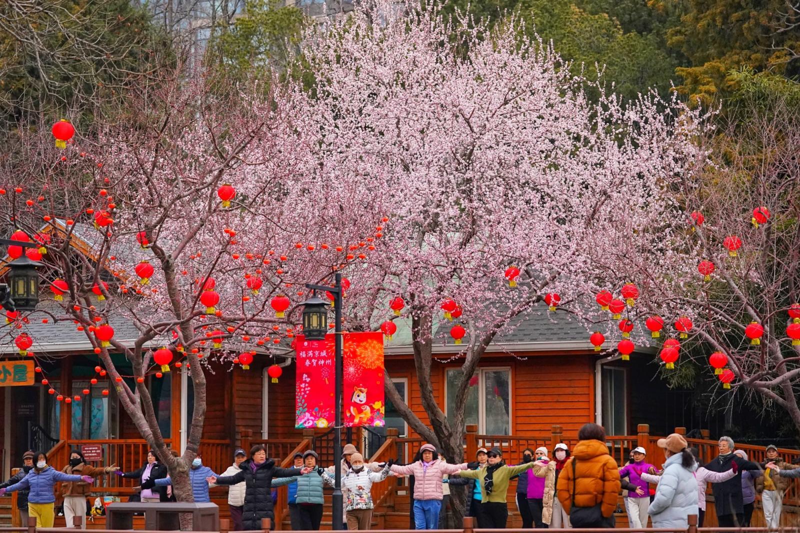 陶然亭年味未散春意更浓