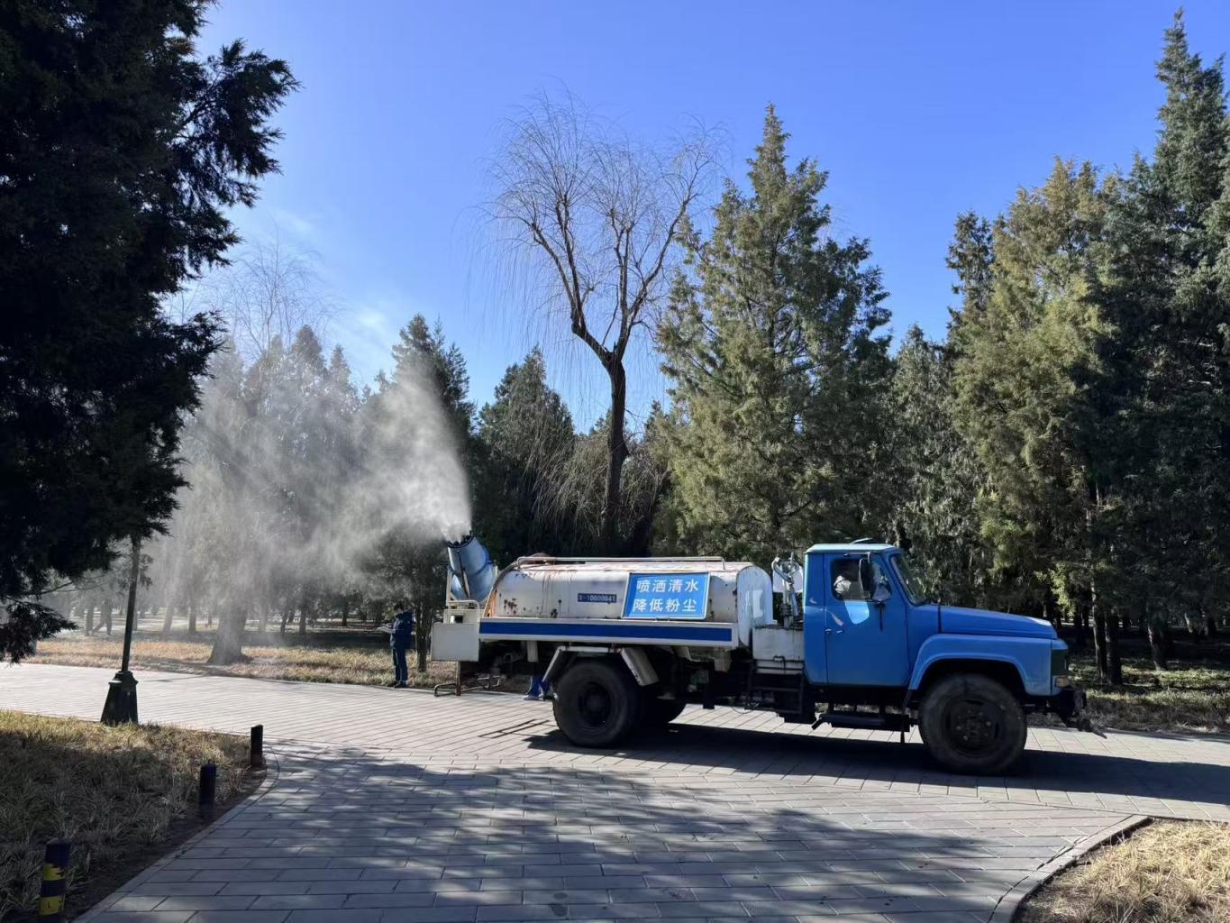 天坛公园启动柏树花粉治理 高压清水喷淋1500多株柏树