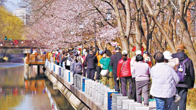 二道沟岸边赏花人络绎不绝。