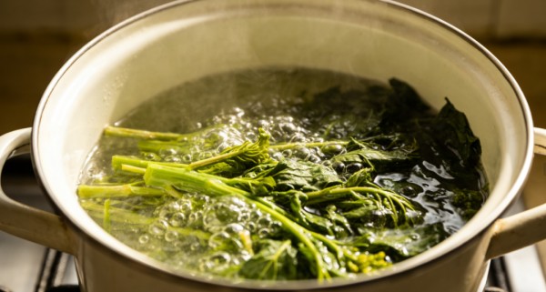 春日吃野菜的快乐 别让中毒毁了回忆