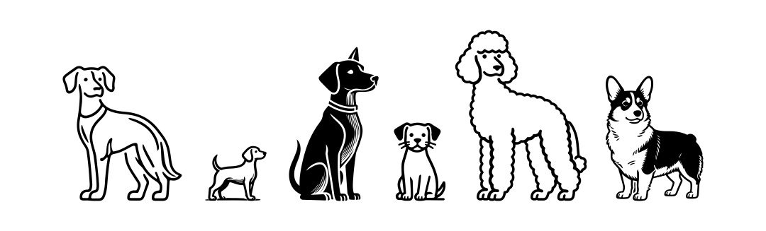 怕“毛孩子”寄养受委屈？清明五一将至 北京消协给你支招→