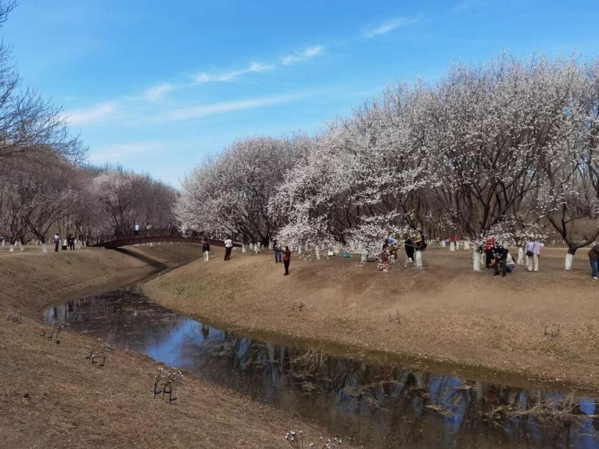 北京明天白天大部分时间较适宜户外活动，前半夜有分散性小阵雨