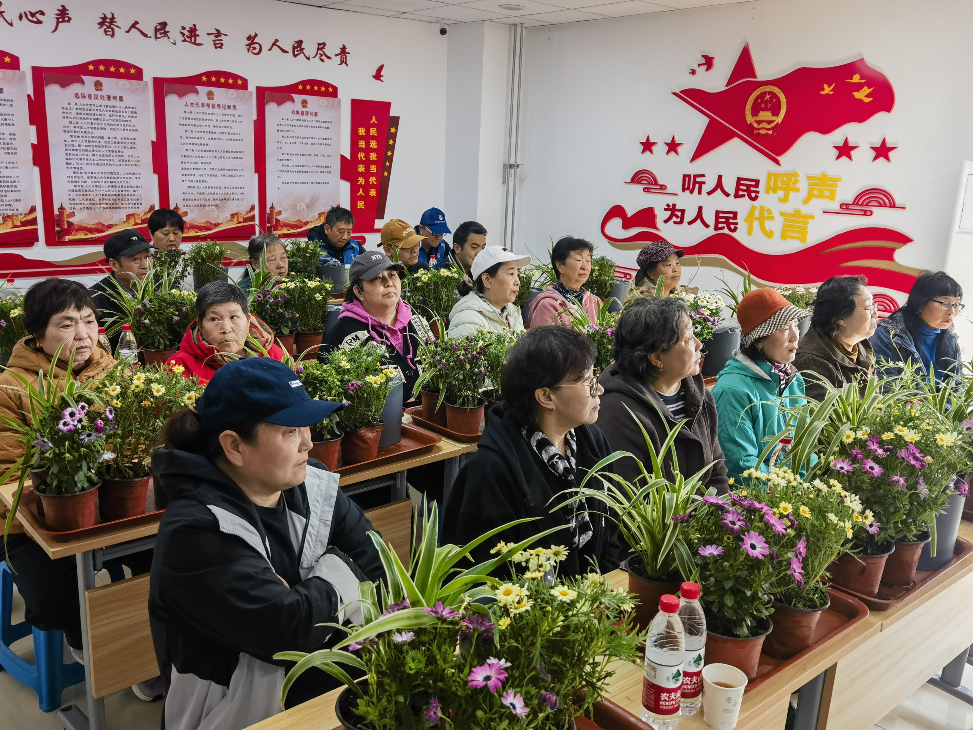 春分恰逢“龙抬头”,家庭园艺课开进保障房社区