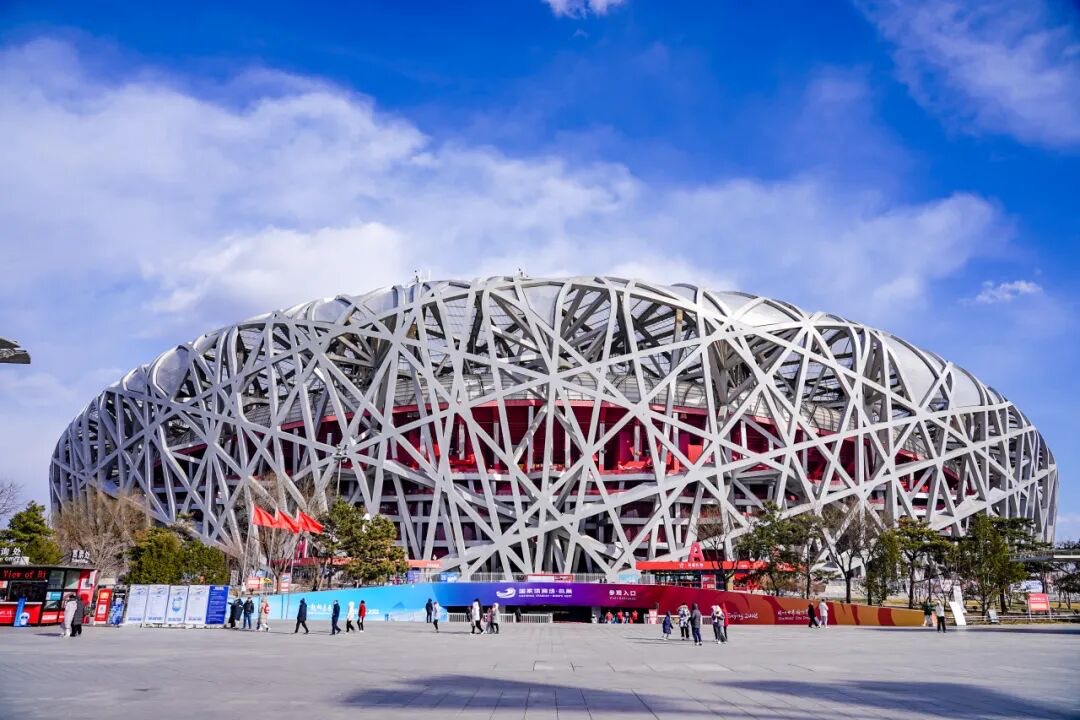 鸟巢 鸟巢