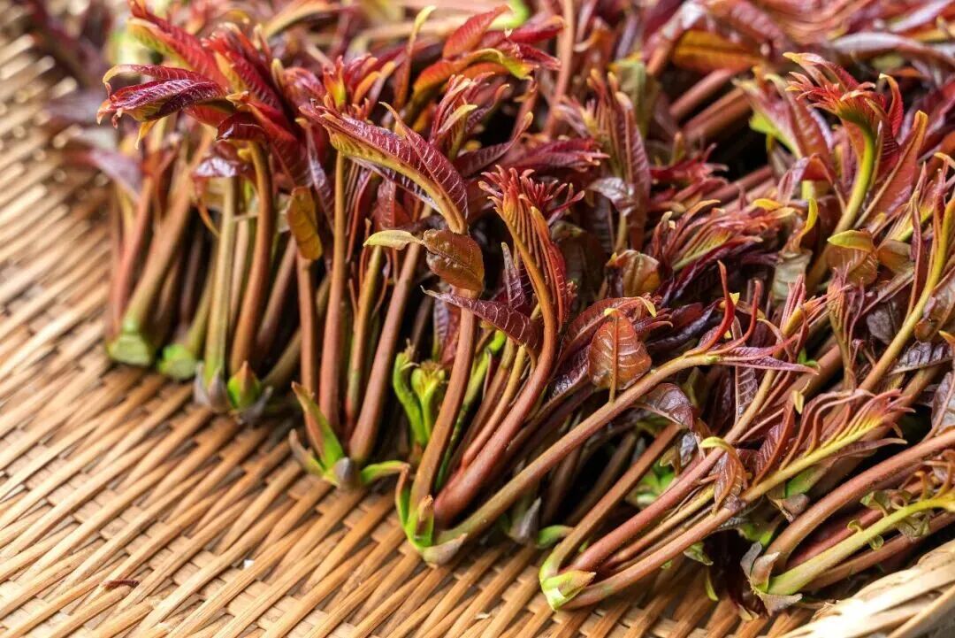 特别适合在春天吃的菜 对肝脏很友好 特别适合在春天吃的菜 对肝脏很友好