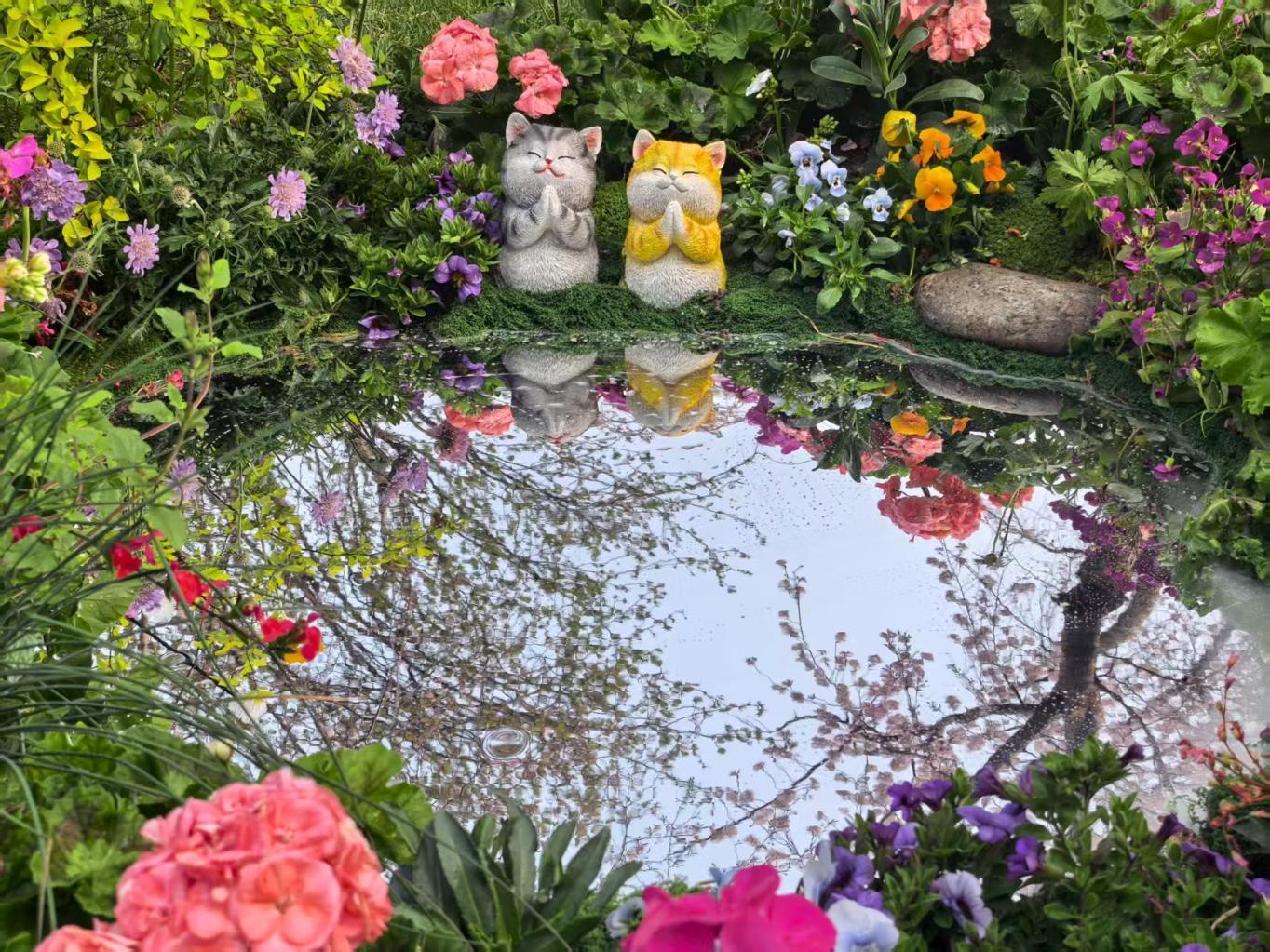 早樱进入最佳观赏期,玉渊潭本周末将迎客流高峰 早樱进入最佳观赏期,玉渊潭本周末将迎客流高峰