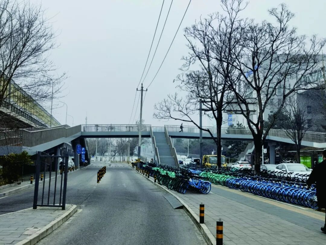 本市非机动车停放治理打出“系统施治”组合拳