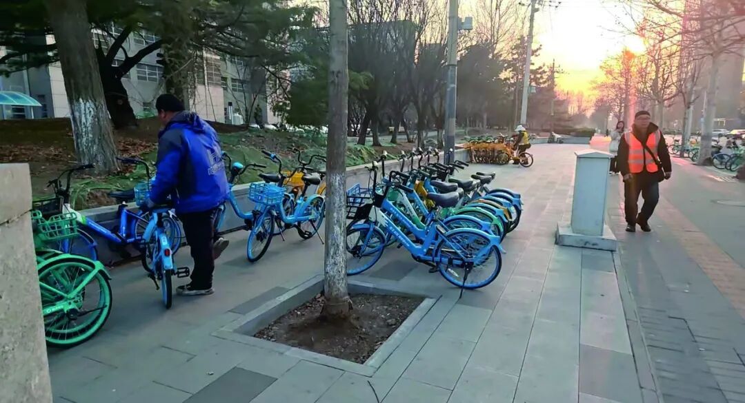 本市非机动车停放治理打出“系统施治”组合拳