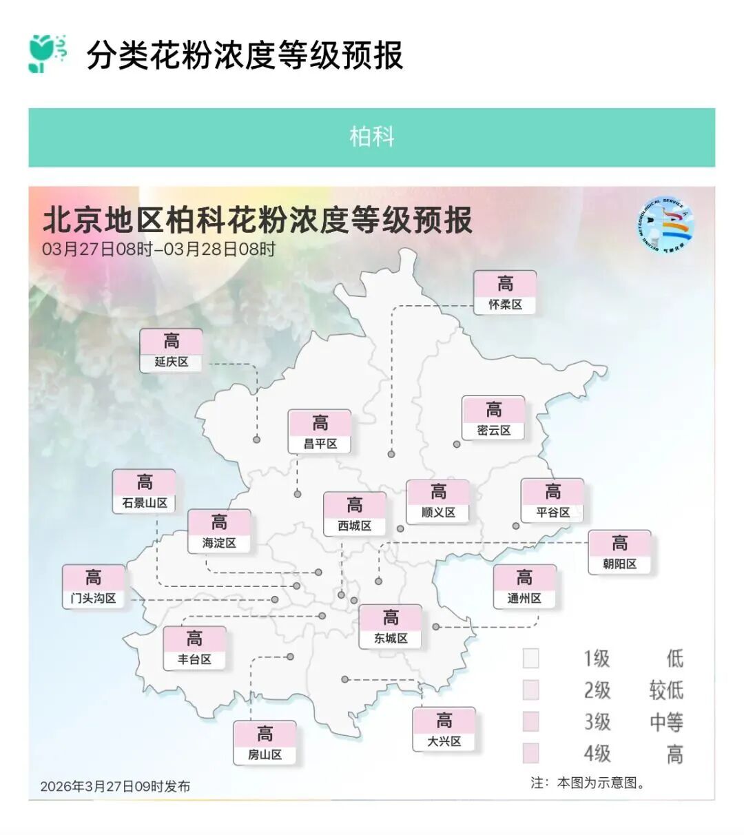 柏科花粉浓度高 专家提醒：眼痒眼红千万别乱揉！