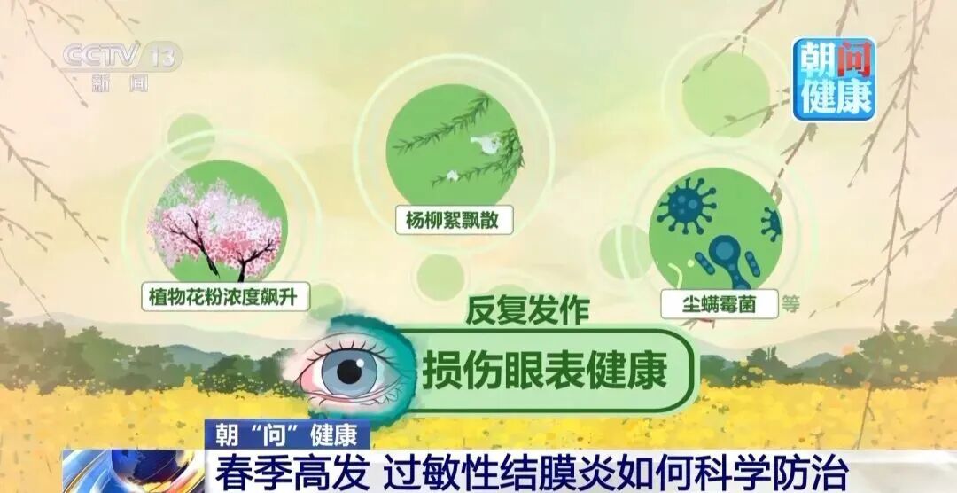 柏科花粉浓度高 专家提醒：眼痒眼红千万别乱揉！