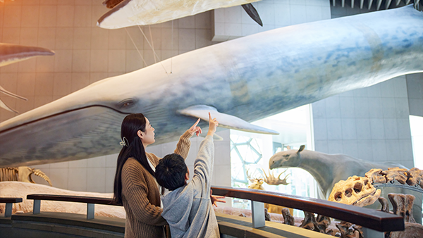 博物馆-3 博物馆-3