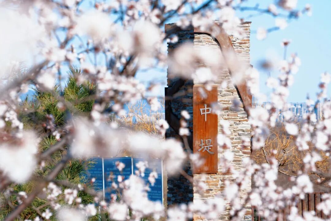 4月1日，永定河中堤恢复开放！