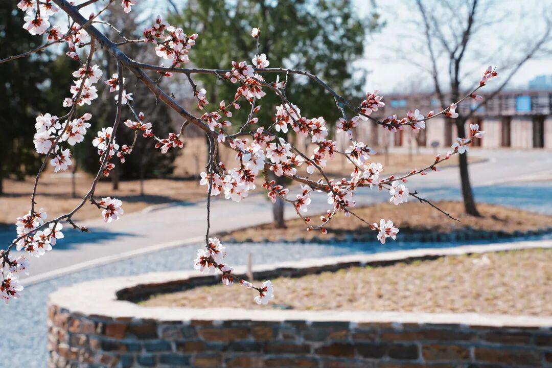 4月1日，永定河中堤恢复开放！