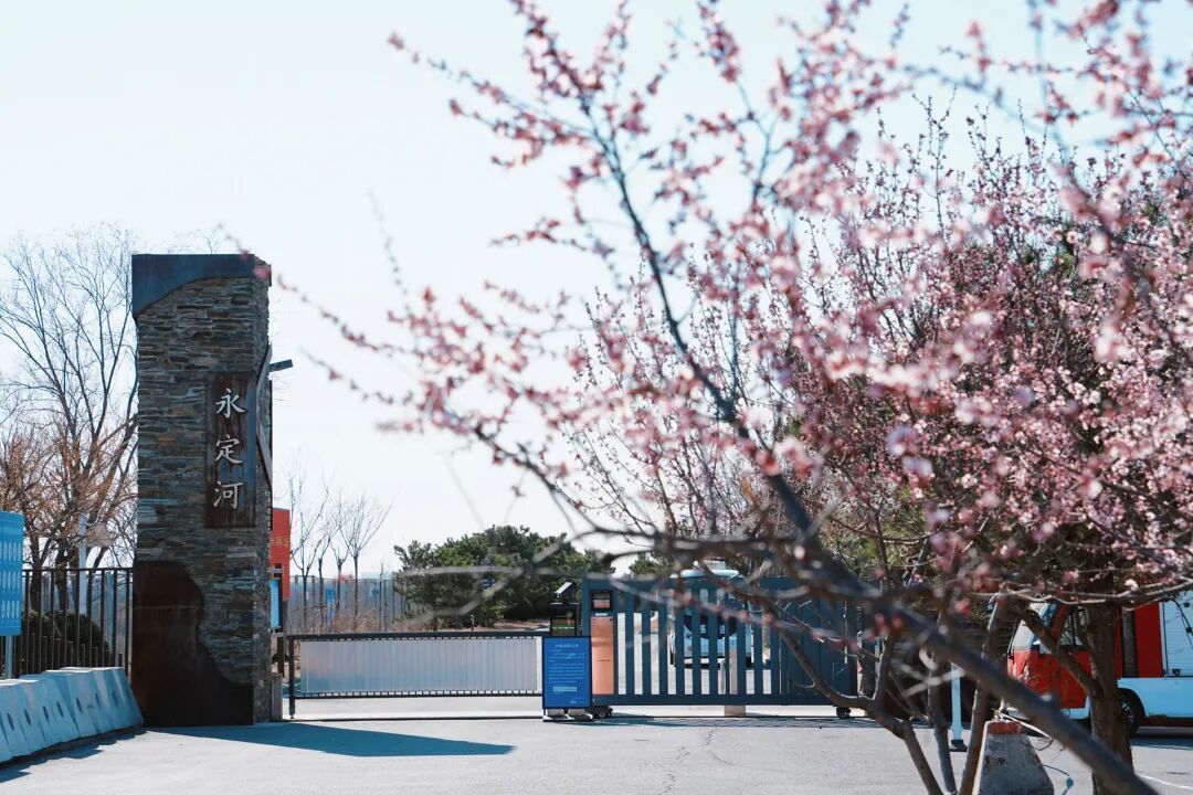 4月1日，永定河中堤恢复开放！