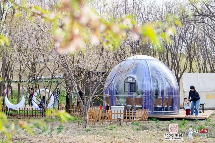 这个春天，四条赏花线路带你看丰台“六园和鸣”