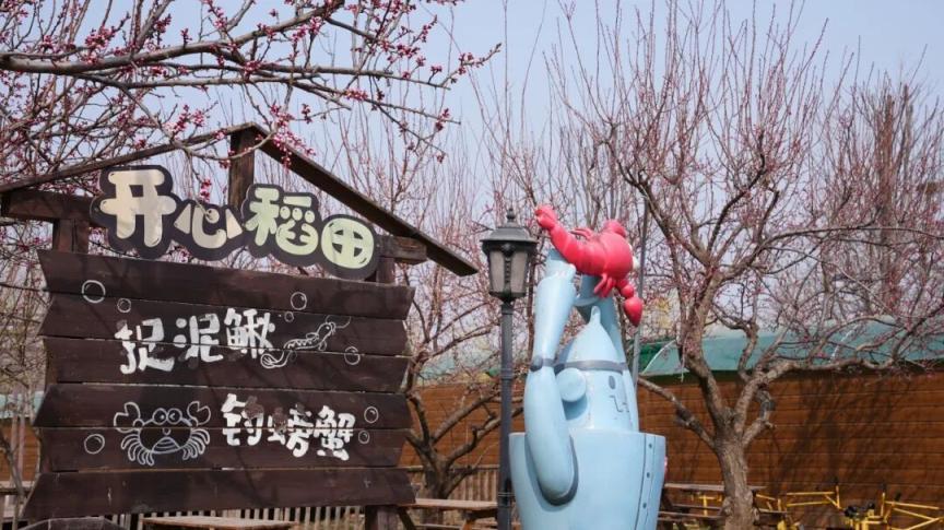 这个春天，四条赏花线路带你看丰台“六园和鸣”