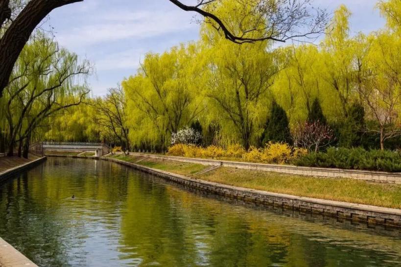 清明假期，北京动物园南门停车场临时关闭，停车攻略请查收