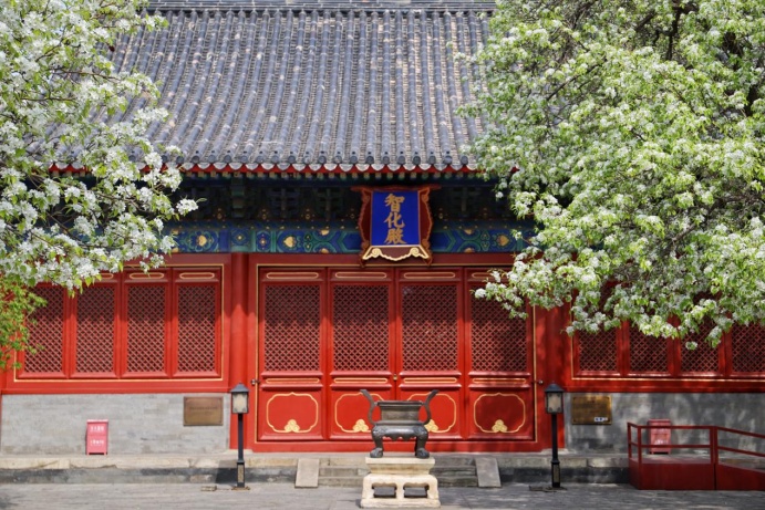 门票每日限量！北京赏梨花“天花板”，记得提前预约——