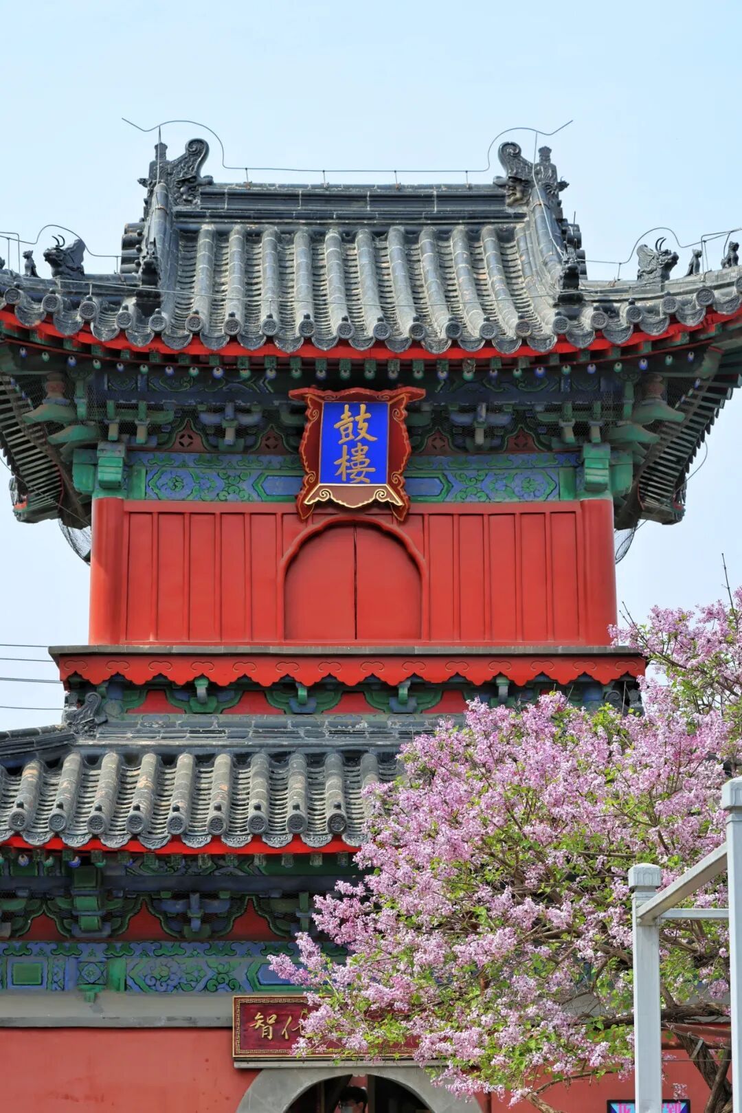 门票每日限量！北京赏梨花“天花板”，记得提前预约——