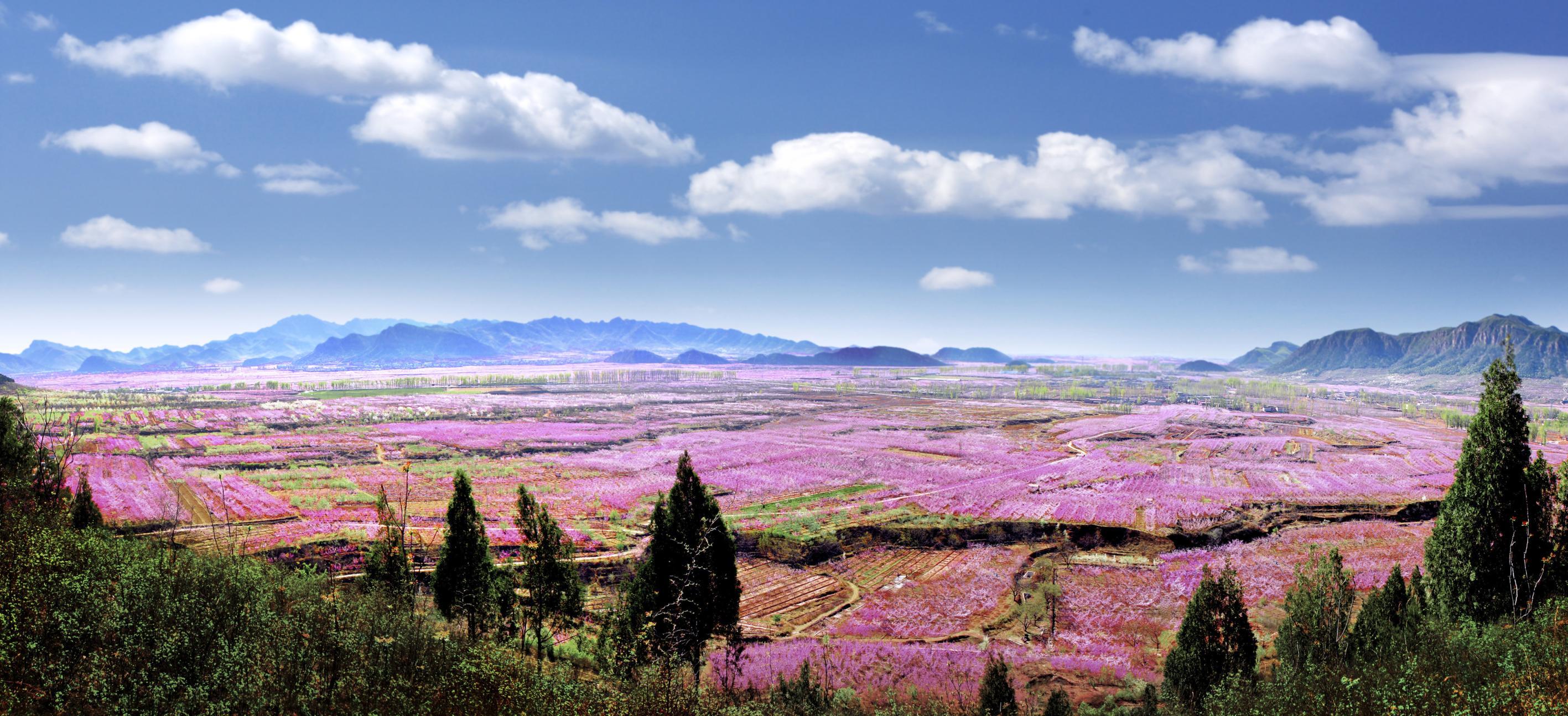 平谷桃花海（资料图）
