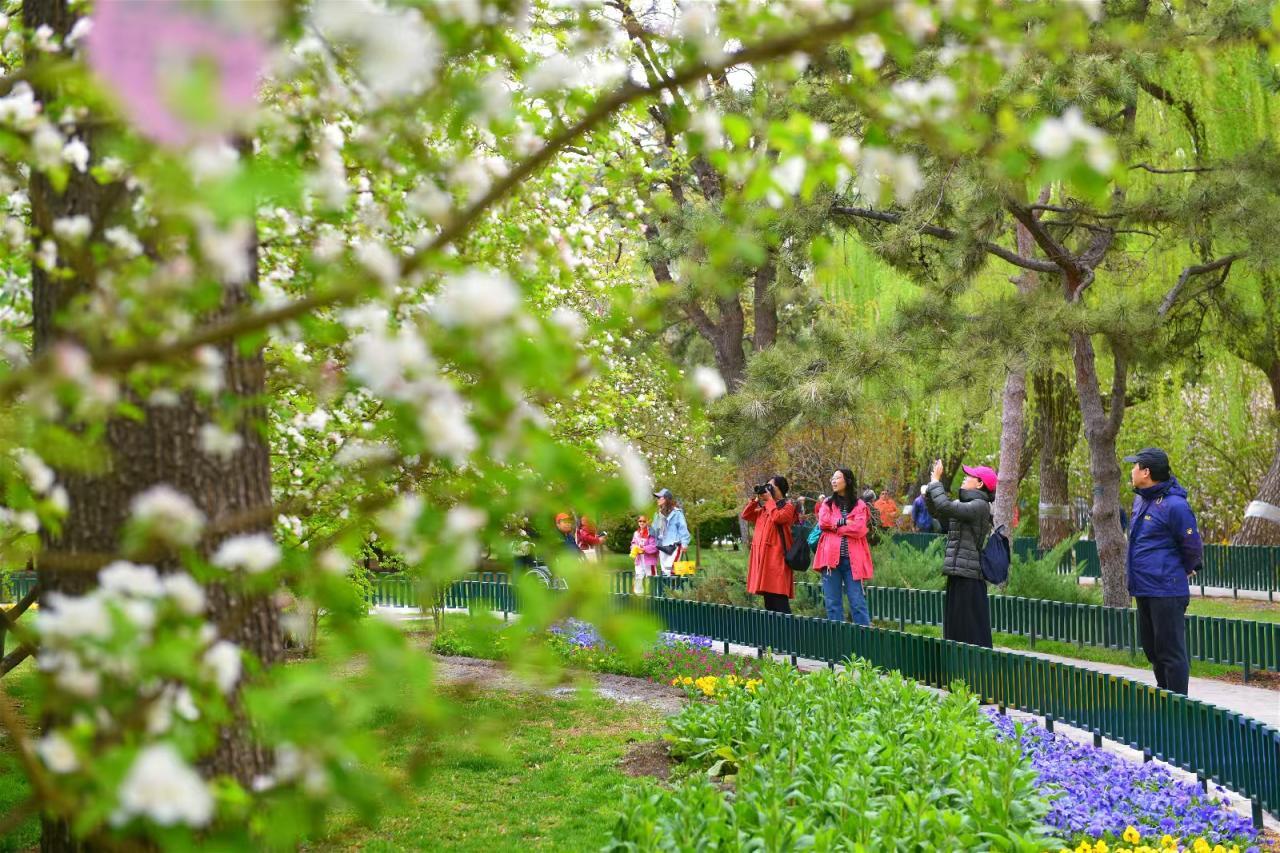 踏青必看！北京15条“最美园路”串起春日繁花