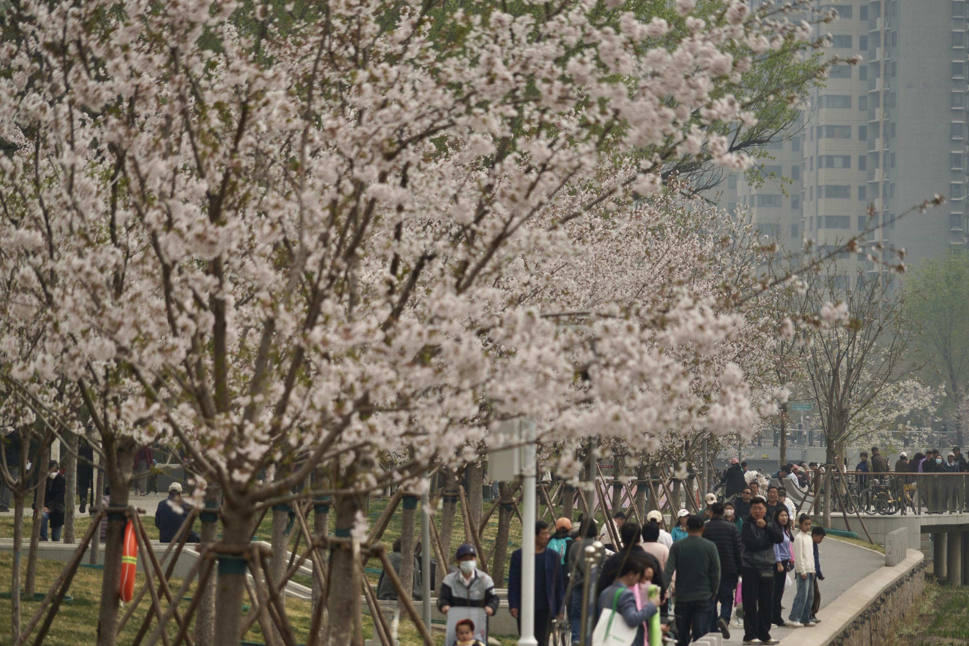 北小河游船启航上线三种船型