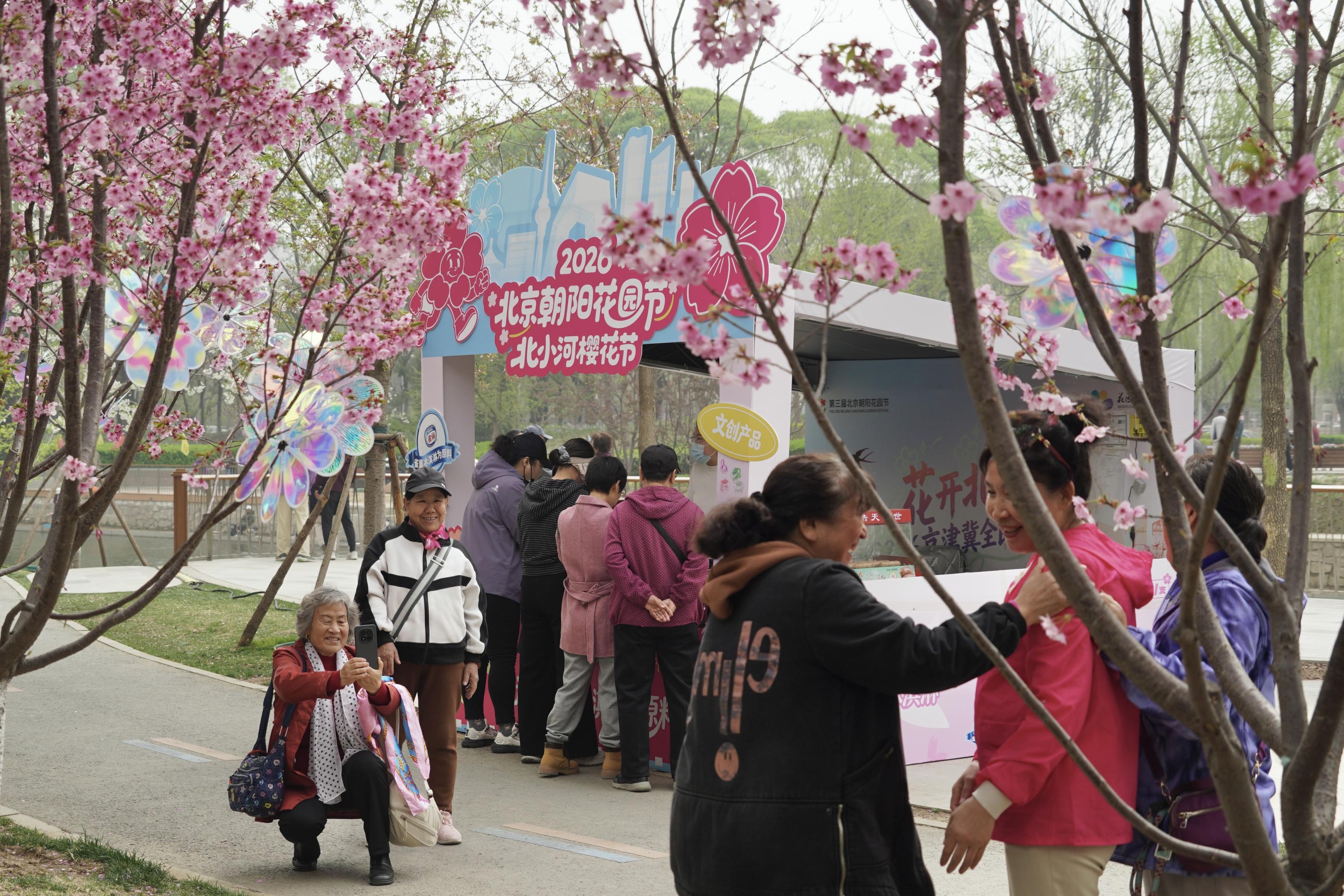 北小河游船启航上线三种船型