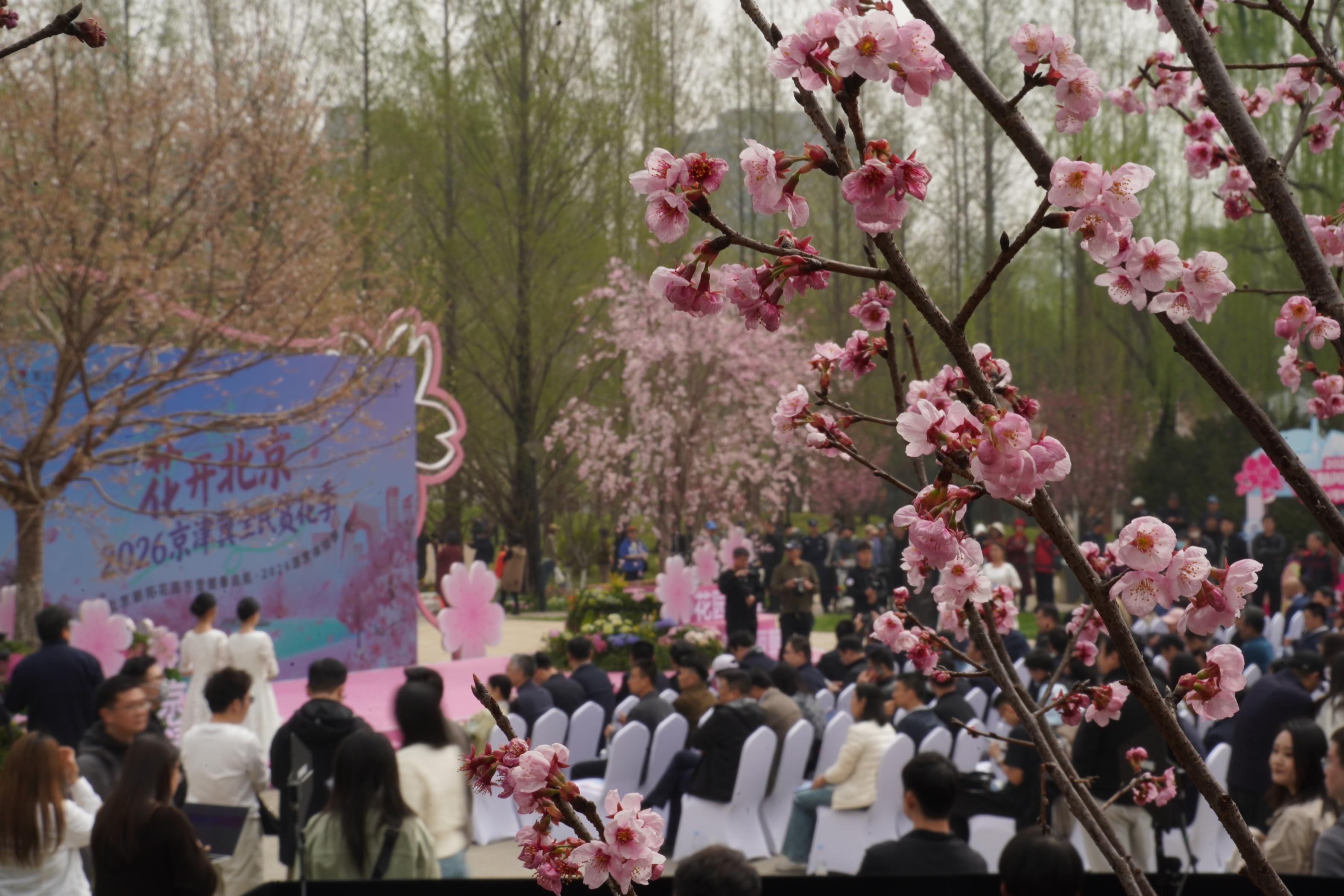 北小河游船启航上线三种船型