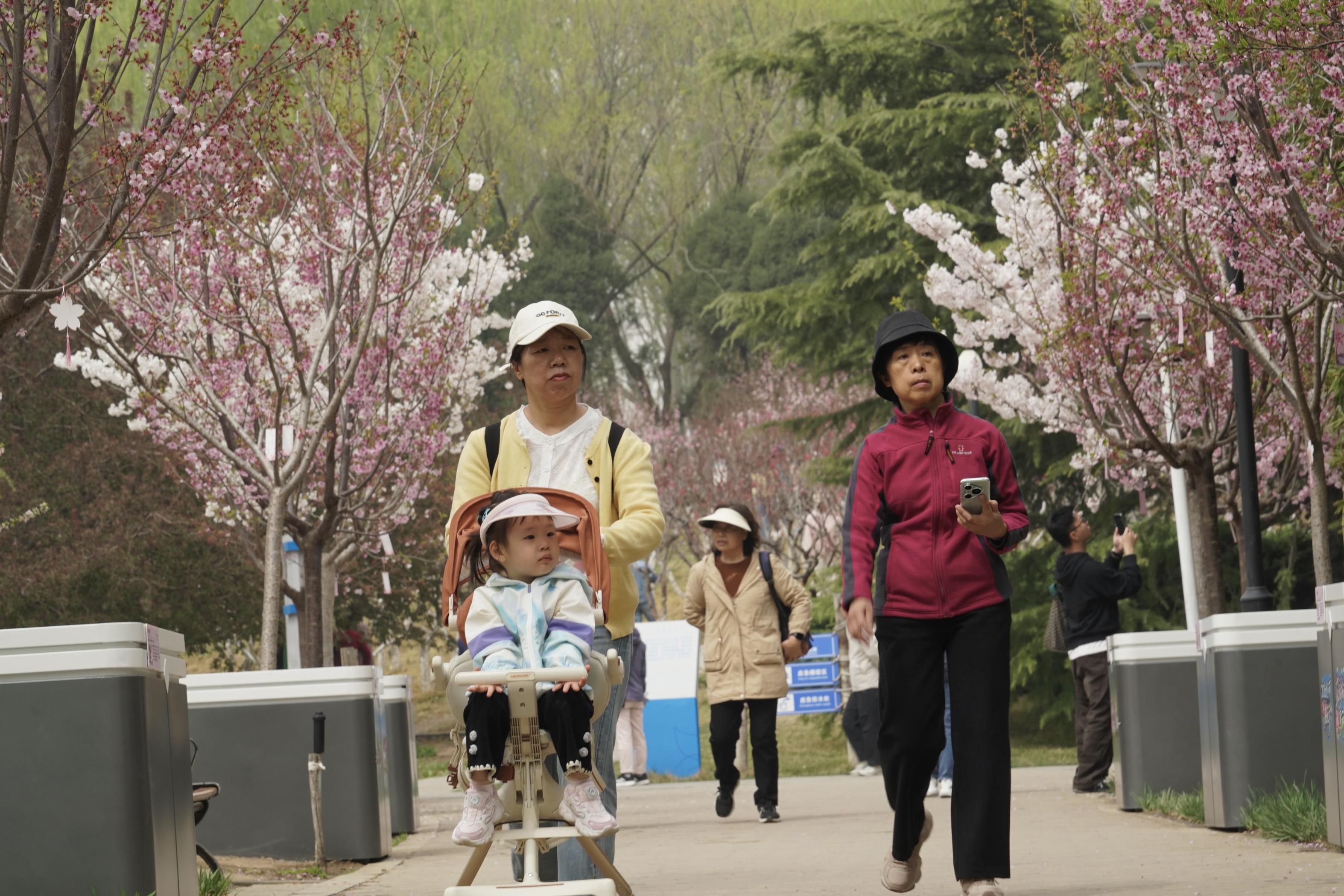北小河游船启航上线三种船型