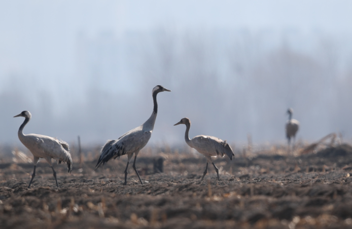 ScreenShot_2026-04-03_144000_819 ScreenShot_2026-04-03_144000_819