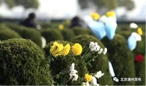 增设车位，专线直达！通州清明祭扫这些道路临时管控