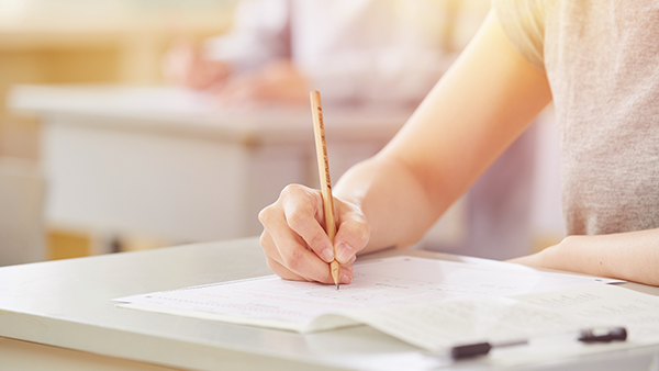 教育服务-4 教育服务-4