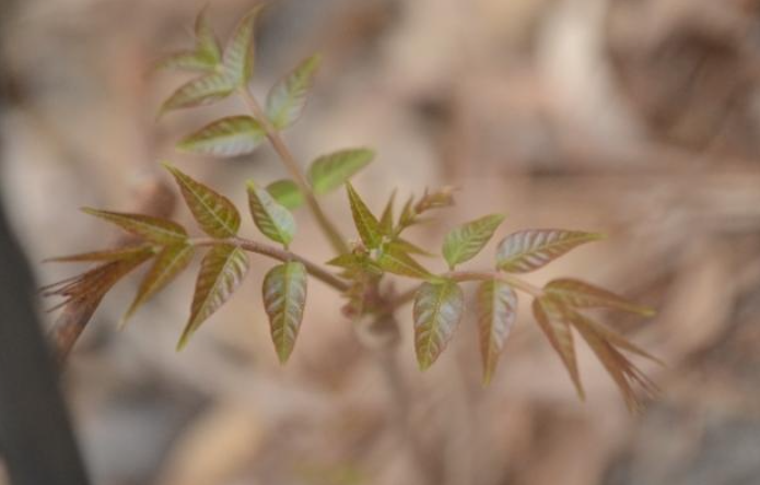 ScreenShot_2026-04-08_150558_762 ScreenShot_2026-04-08_150558_762