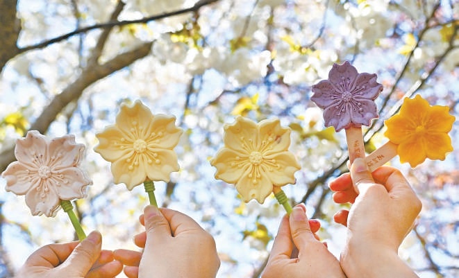 玉渊潭公园,赏樱季客流攀升,樱花文创产品受到游客青睐。 玉渊潭公园,赏樱季客流攀升,樱花文创产品受到游客青睐。